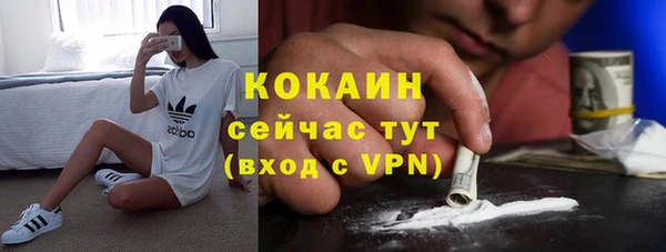 кокс Белокуриха