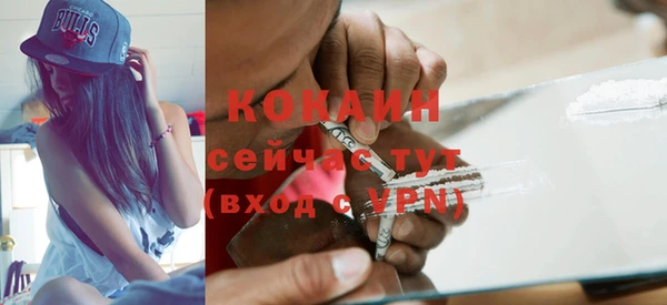 кокс Белокуриха