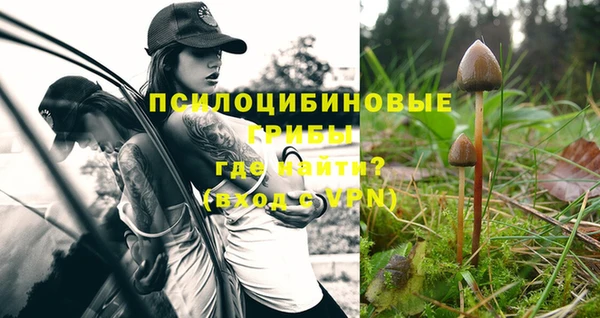 кокс Белокуриха
