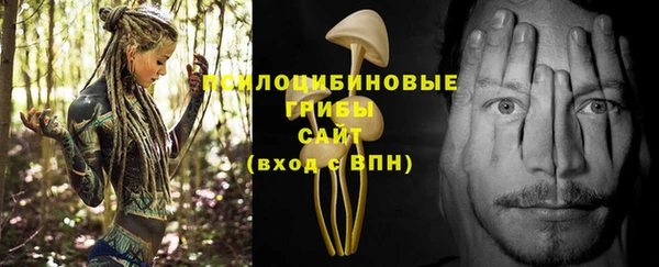 PSILOCYBIN Белоозёрский