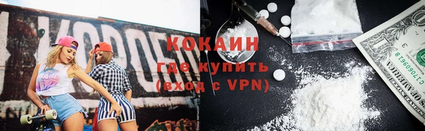 кокс Белокуриха